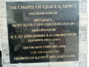 IMG_20250216_134531_273