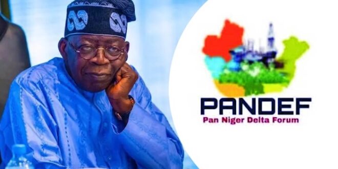PANDEF Commends President Tinubu For Signing South-South Development Commission Bill Into Law