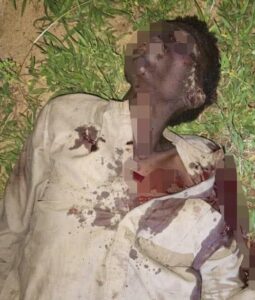 FB_IMG_1753448833120 (1)