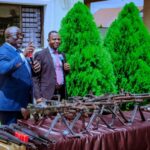 Arms Running: Oborevwori Orders Immediate Crackdown On Criminal Networks In Delta State